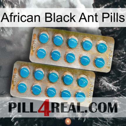 African Black Ant Pills new08